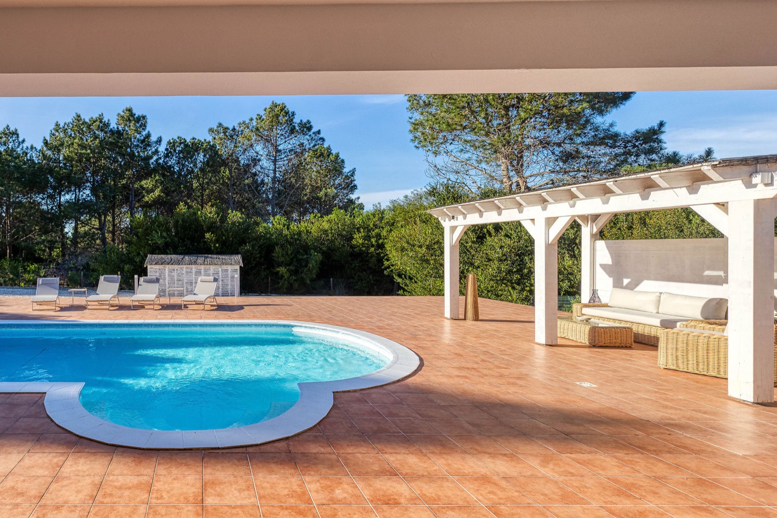 Pool and pergola under the pines